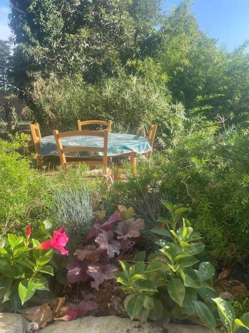 Gite Mas Provencal Tarascon Kültér fotó