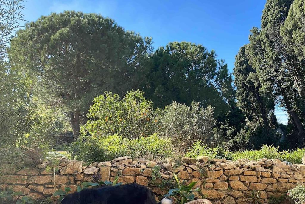 Gite Mas Provencal Tarascon Kültér fotó