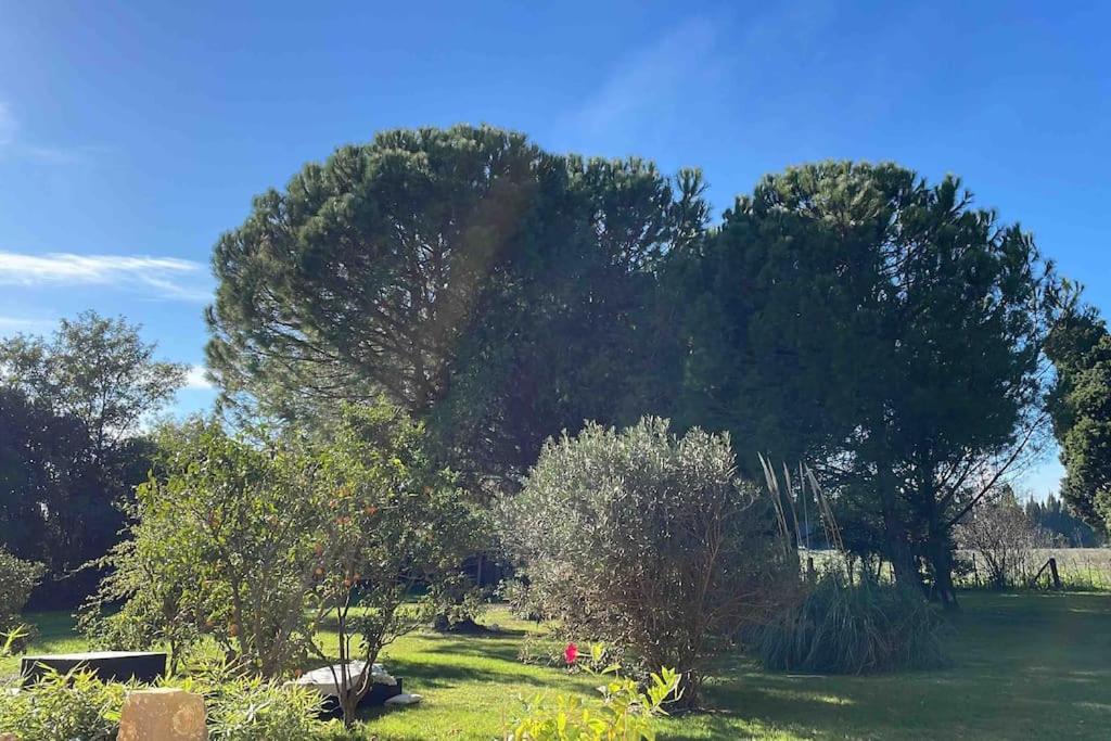 Gite Mas Provencal Tarascon Kültér fotó