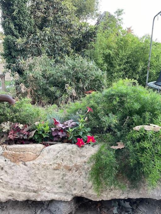 Gite Mas Provencal Tarascon Kültér fotó